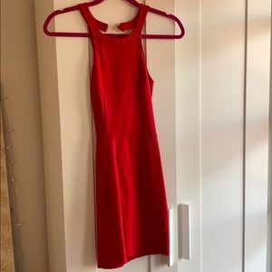 Blue Blush bodycon dress